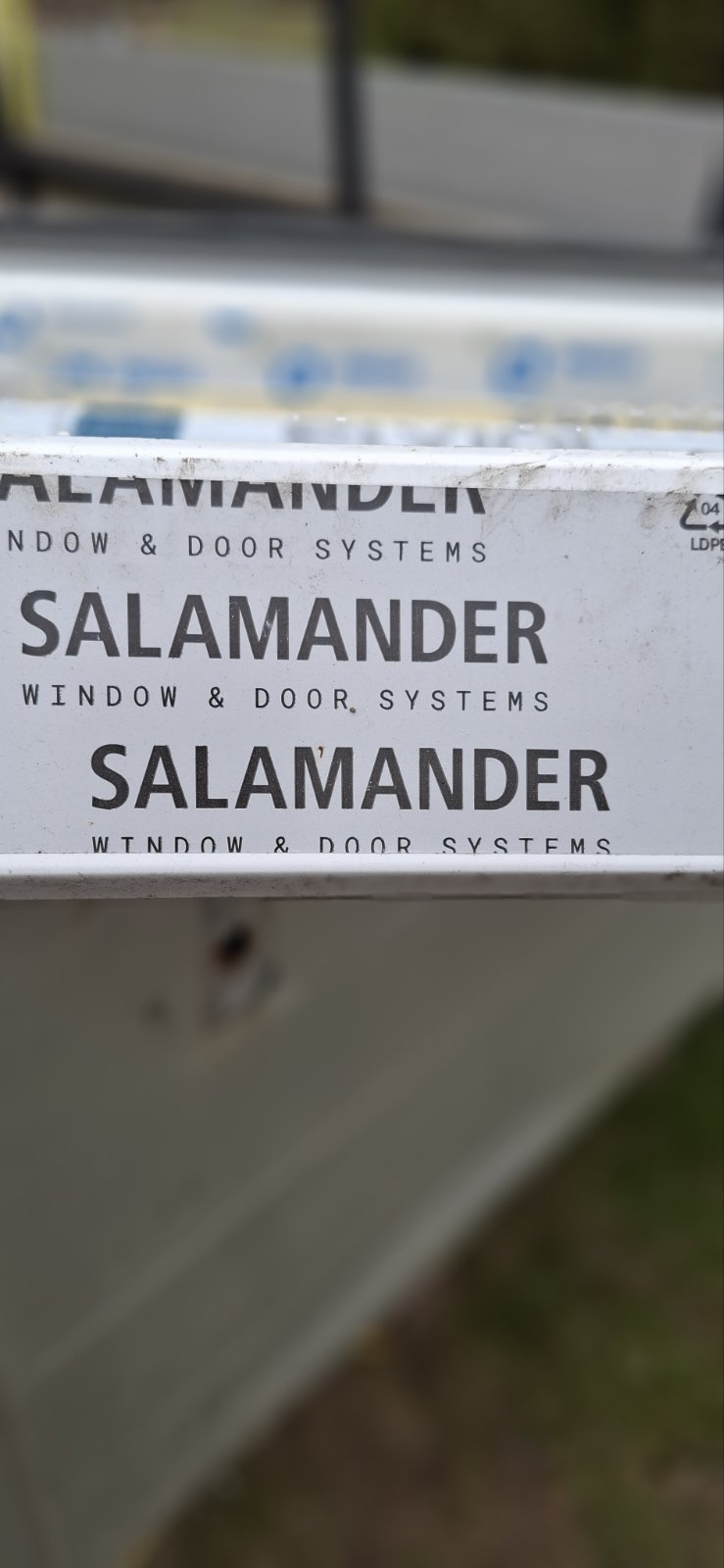 Salamander